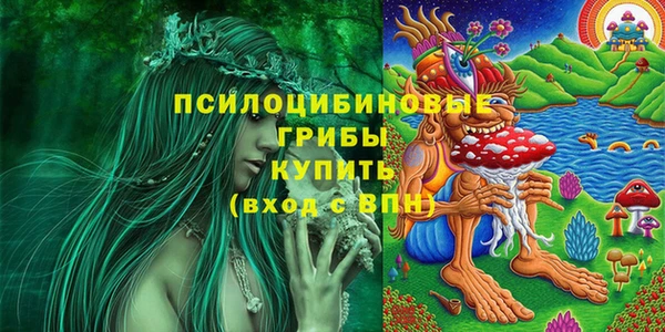 дмт Абинск